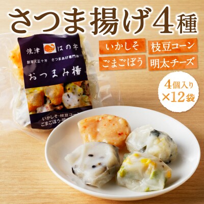 家計応援!一口練り物4種詰合せ個包装12P福袋(a10-569)