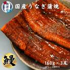 うなぎ 蒲焼き 約160g×3尾 鰻 ウナギ(a20-284)
