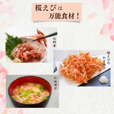 【定期便3回お届け】焼津特選桜えび3種類食べ比べ (b100-049)
