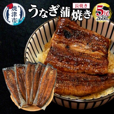 うなぎ 蒲焼き 長焼き 5尾 約600g(a38-006)