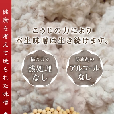 味噌 麦 手造り 職人 約900g×3袋+3年 熟成味噌 約120g(a12-238)