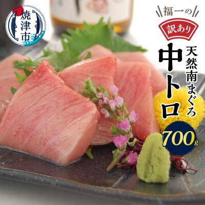 【1月発送】訳あり刺身ミナミマグロ中トロ切り落とし 約700g(a10-1000202401)