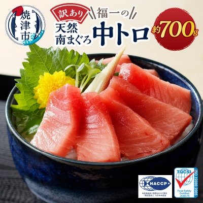【2025年10月お届け】訳ありミナミマグロ中トロ切落し約700g(a10-1000202510)