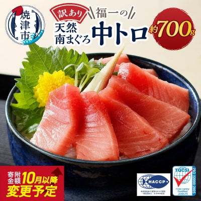 【2025年11月お届け】訳ありミナミマグロ中トロ切落し約700g(a10-1000202511)