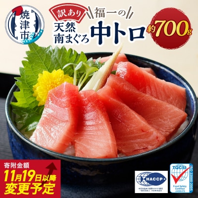 【2025年12月お届け】訳ありミナミマグロ中トロ切落し約700g(a10-1000202512)