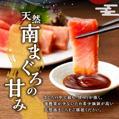 【2025年10月お届け】訳ありミナミマグロ中トロ切落し約700g(a10-1000202510)