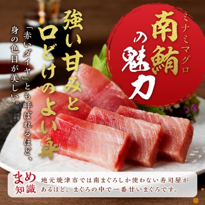 訳あり 鮪 まぐろ マグロ ミナミマグロ 刺身 中トロ 切り落とし 約700g(a18-110)