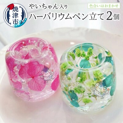ハーバリウム ペン立て やいちゃん 2つ セット(a10-826)