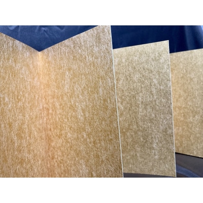 富士山 金潜紙 御朱印帳(a12-140)