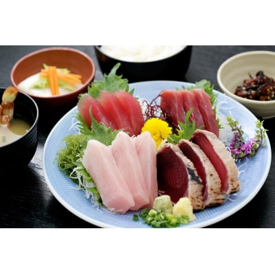 焼津 さかなセンター 大食堂渚 お食事 券(a10-830)