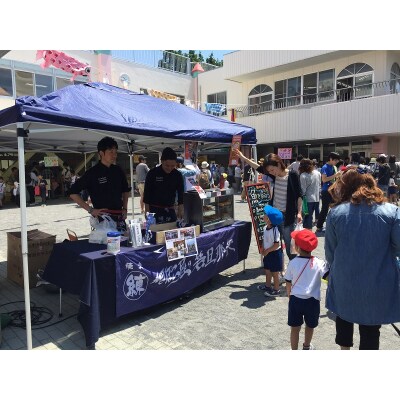 港町焼津4社のコラボ!若旦那衆5種ねりもんセット(a10-395)