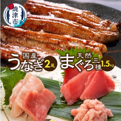 家計応援国産うなぎ鰻　バチマグロビンチョウマグロまぐろたたき　総重量約1.9kg(a35-017)