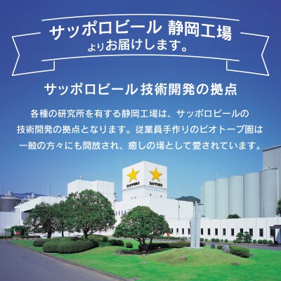 【定期便7回】黒ラベルビール 500ml×1箱(24缶)(T0024-2107)