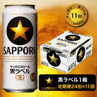 【定期便11回】黒ラベルビール 500ml×1箱(24缶)(T0024-2111)