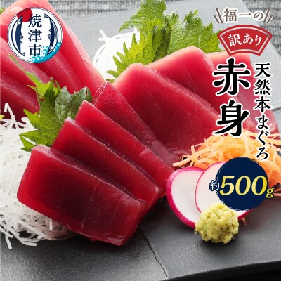 マグロ 赤身 訳あり 刺身 ホンマグロ 天身 約500g(a10-1077)