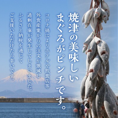 マグロ 赤身 訳あり 刺身 ミナミマグロ 天身 約500g(a10-1078)
