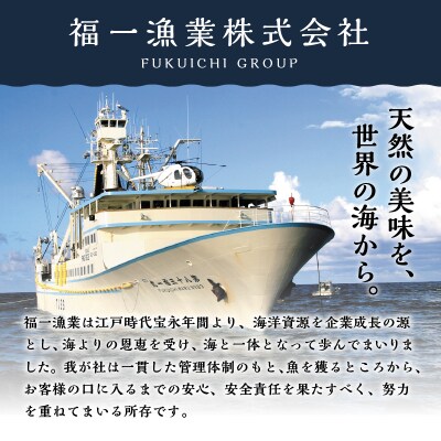 マグロ 赤身 訳あり 刺身 ミナミマグロ 天身 約500g(a10-1078)