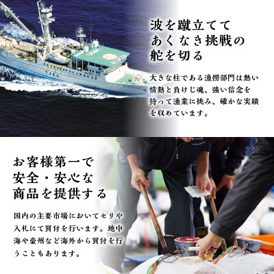 マグロ 赤身 訳あり 刺身 ミナミマグロ 天身 約500g(a10-1078)