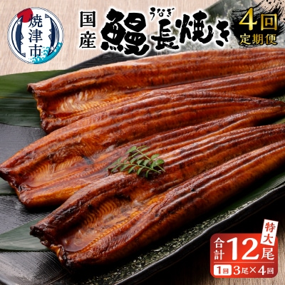 【定期便4回】 鰻 長焼き(b100-058)