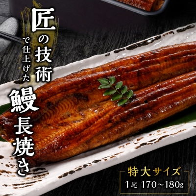 【定期便4回】 鰻 長焼き(b100-058)