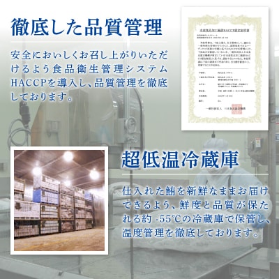 訳有り目鉢鮪赤身(a10-354)