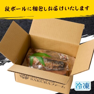 焼津!大葉 にんにく かつお たたき 5本 セット(a10-870)