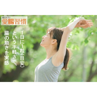 腸活サプリ 愛腸習慣 6袋 セット 限定 まとめて お届け(a25-040)