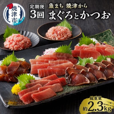 【定期便 3回】 魚まち 焼津から まぐろ・かつお お届け(a30-250)