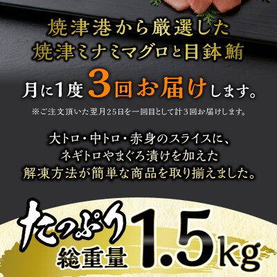 定期便 3回 魚まち 焼津から まぐろ お届け【定期便】(a30-250)
