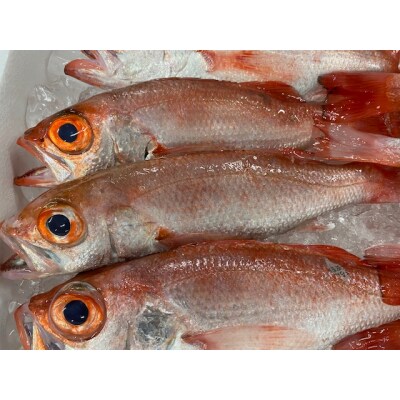 のどぐろの入ったひものセット(a19-027)