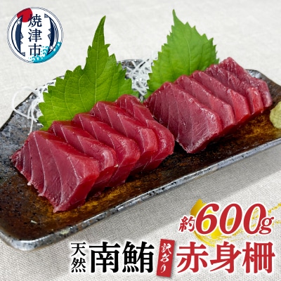 訳あり 天然 南鮪 赤身 約600g(a10-858)