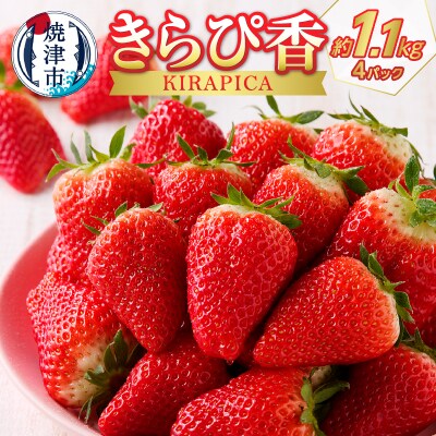 いちご 静岡 限定 「 きらぴ香 」約1.1Kg 計4パック(a10-421)