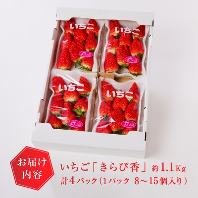 いちご 静岡 限定 「 きらぴ香 」約1.1Kg 計4パック(a10-421)