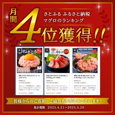 【2026年4月発送】焼津 マグロ ネギトロ セット F4 ねぎとろ(a10-875202604)