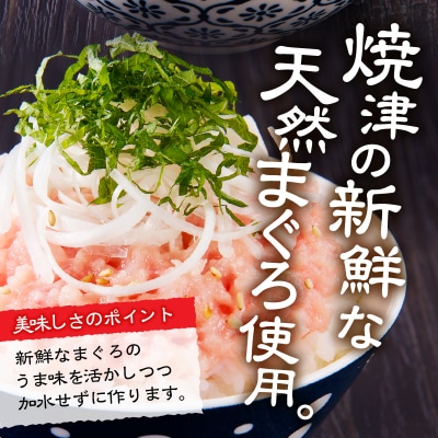 【2025年9月発送】焼津 マグロ ネギトロ セット F4(a10-875202509)
