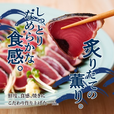 一本釣り炭火焼かつおたたき(a10-863)