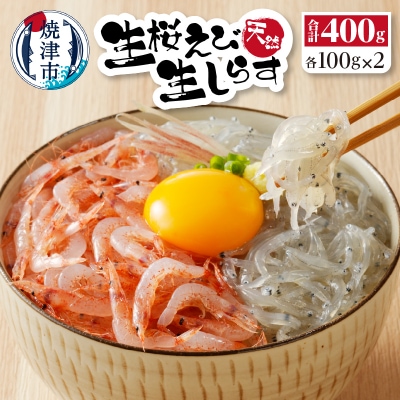 お刺身・生桜えび、生しらす・各2(a10-906)