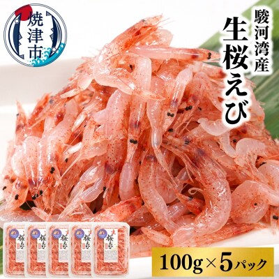 焼津特選 生桜えび 100g×5(a15-562)