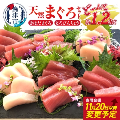 天然 まぐろ セット(とろびんちょう・きはだまぐろ) 約1.2kg(a10-908)
