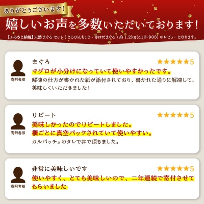 天然 まぐろ セット(とろびんちょう・きはだまぐろ) 約1.2kg(a10-908)