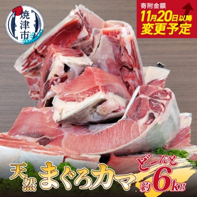 大きな 天然 まぐろ カマ 業務用 約6kg BBQにも(a10-907)