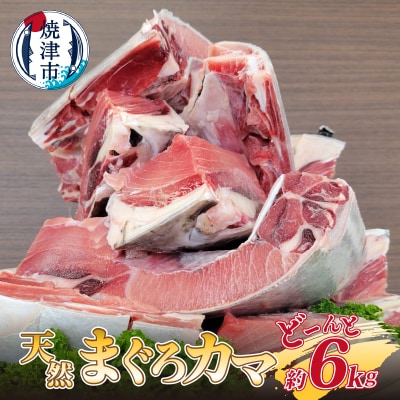 大きな 天然 まぐろ カマ 業務用 約6kg BBQにも(a10-907)