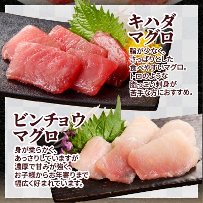 天然鮪 焼津 キハダマグロ ビンチョウマグロ 計1kg(a12-326d)