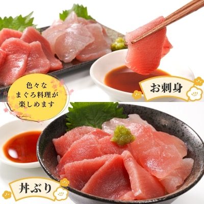 天然鮪 焼津 キハダマグロ ビンチョウマグロ 計1kg(a10-924)