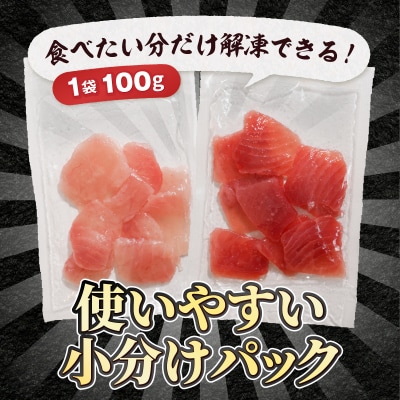 天然鮪 焼津 キハダマグロ ビンチョウマグロ 計1kg(a10-924)