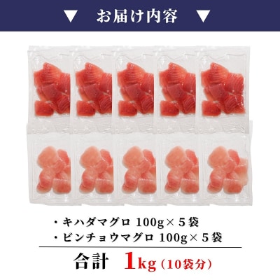天然鮪 焼津 キハダマグロ ビンチョウマグロ 計1kg(a10-924)