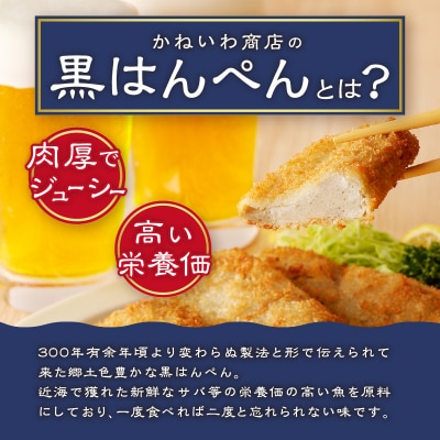 焼津 黒はんぺん セット 1(a10-460)