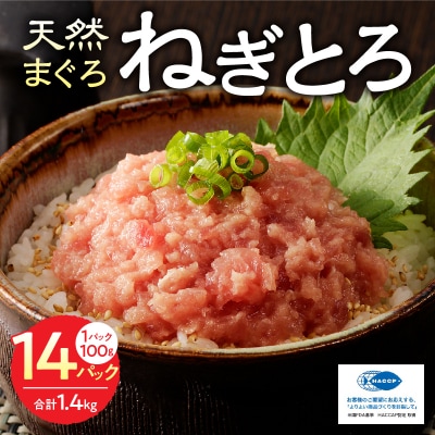 焼津の天然まぐろたたき 鉢100%ねぎとろ F7(a12-169)