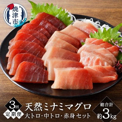 【定期便3回】キボシ水産 天然南鮪 大トロ 中トロ 赤身食べ比べ約1kg×3回(b100-066)