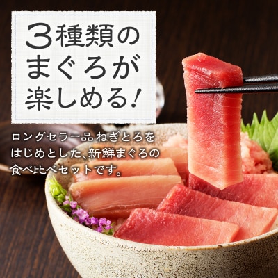 F5 お宝丼セット 天然鉢中とろ・赤身・ねぎとろ F5(a14-047)